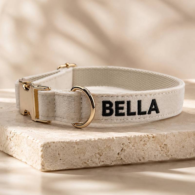 Özel İşlemeli Köpek ve Kedi İs - Embroidery Name Designs incelemesi ve fiyatı